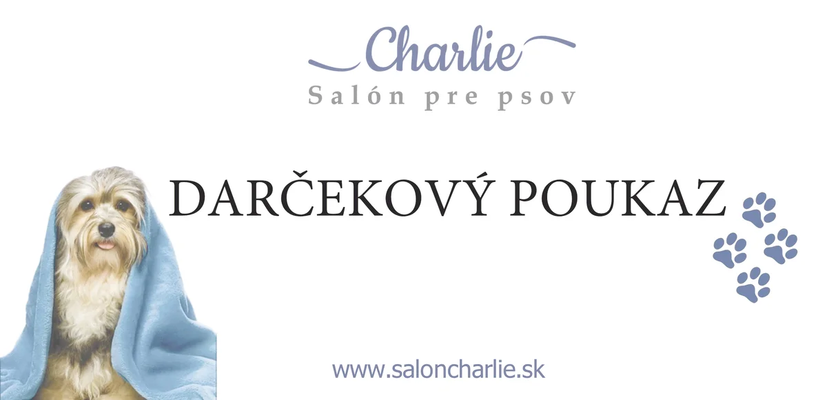 Ukážka darčekového poukazu Salónu Charlie